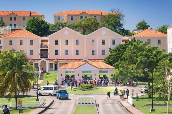 Students discussing outside a campus building, illustrating key factors to weigh before entering the medical field - The Red Pen